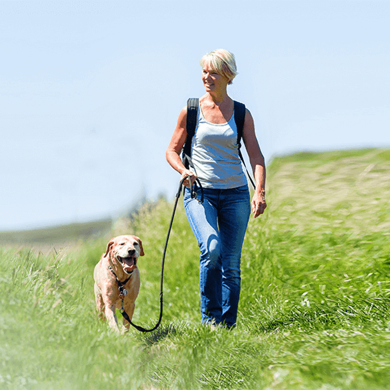 Webdesign Heemstede, Project Direct, Timo van Tilburg, Snel een Webdesigner Heemstede, Website laten maken Heemstede, Website laten bouwen Heemstede, SEO Heemstede, SEA Heemstede, Online Marketing Heemstede, Wordpress Heemstede, Zoekmachine optimalisatie Heemstede